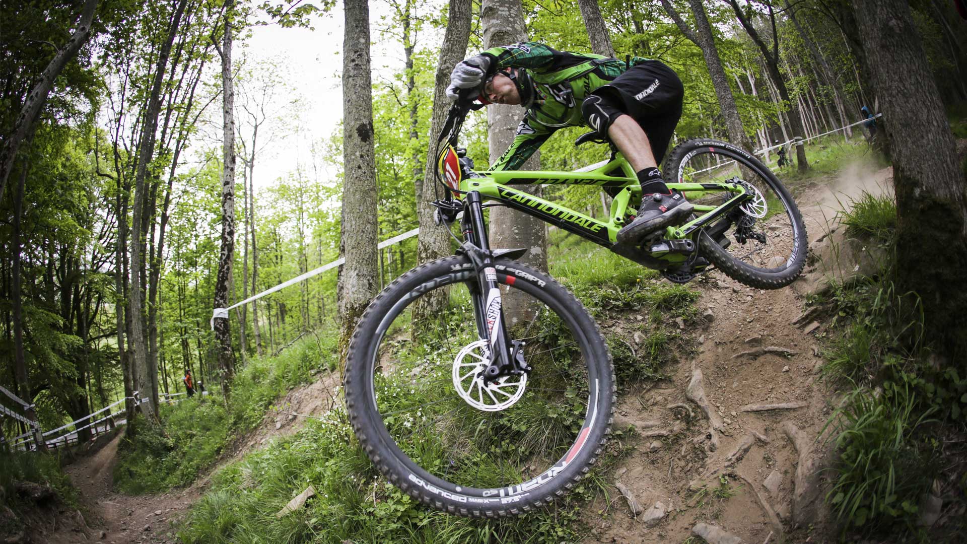 cannondale bicycles